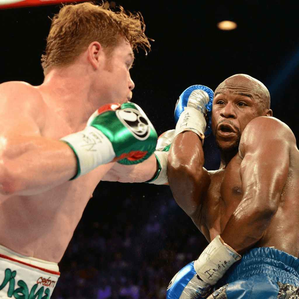 boxing guards: phlily shell